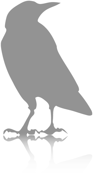 img_raven