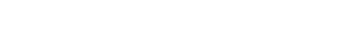 SECURITY PORTAL